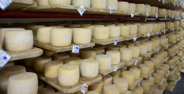 İsviçre peyniri kiler