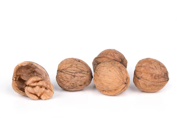 Nuttige noten walnoot geïsoleerd op zeuren achtergrond — Stockfoto