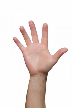 İki elin üstüne yetiştirilir