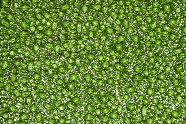 Textur av vatten på en grön bakgrund. — Stockfoto