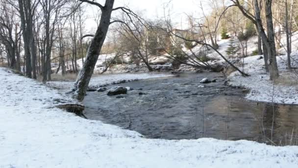 Den Slingrande Floden Flyter Vackert Solig Vinterdag — Stockvideo