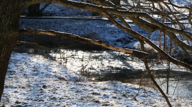 Nehirdeki ormandaki ilk kar..