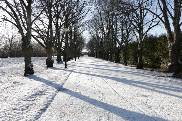 Hintergrund - ein schöner alter Park an einem sonnigen Wintertag. — Stockfoto