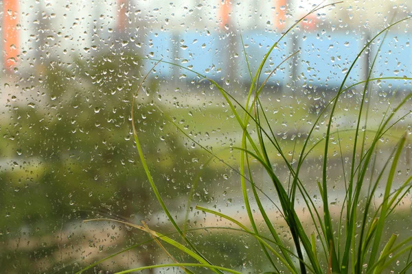 Pohled Okna Kanceláře Deštivém Počasí Ulicích Města — Stock fotografie