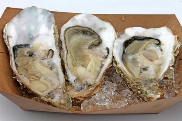 Appetizer oysters closeup — Stock Photo, Image
