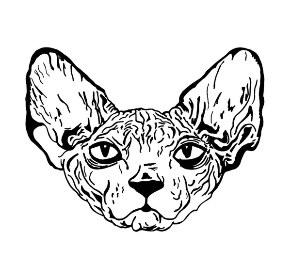 Bosquejo de tatuaje - esfinge de gato — Vector de stock