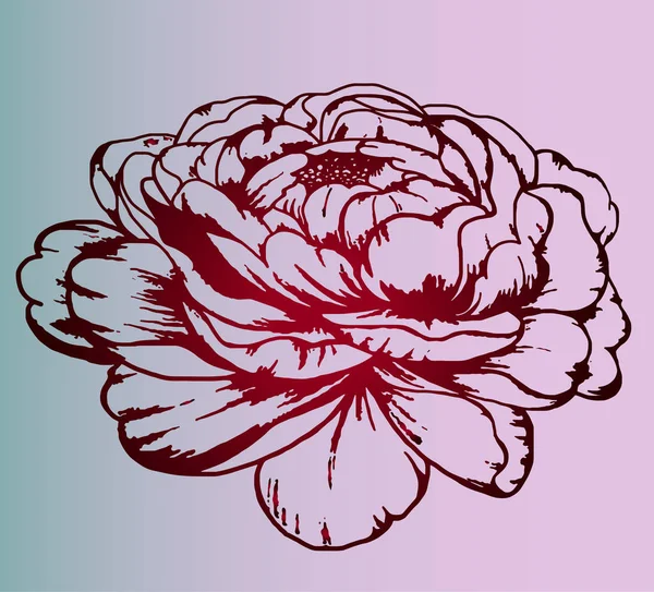 Gradiente de escala de grises: dibujo de una rosa en forma de pión de tatuaje. Botánica. Un bosquejo detallado sobre un fondo suave — Archivo Imágenes Vectoriales