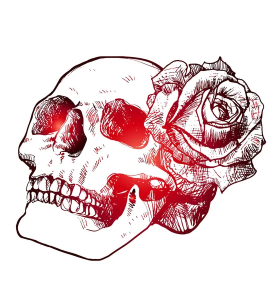 Calavera y rosa. Hermoso boceto de tatuaje, gradiente rojo . — Archivo Imágenes Vectoriales