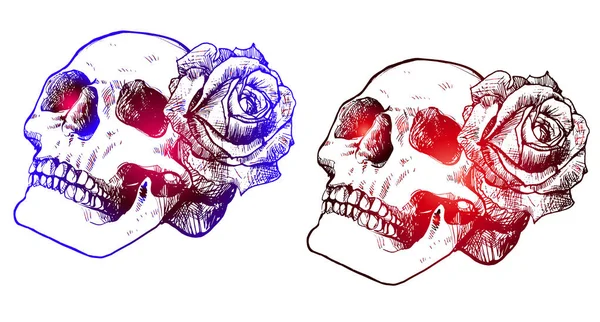 Dos cráneos con rosas - degradado de color — Archivo Imágenes Vectoriales