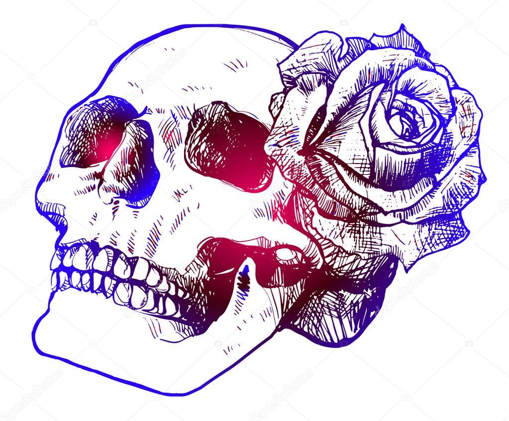 Skull and rose creative tattoo