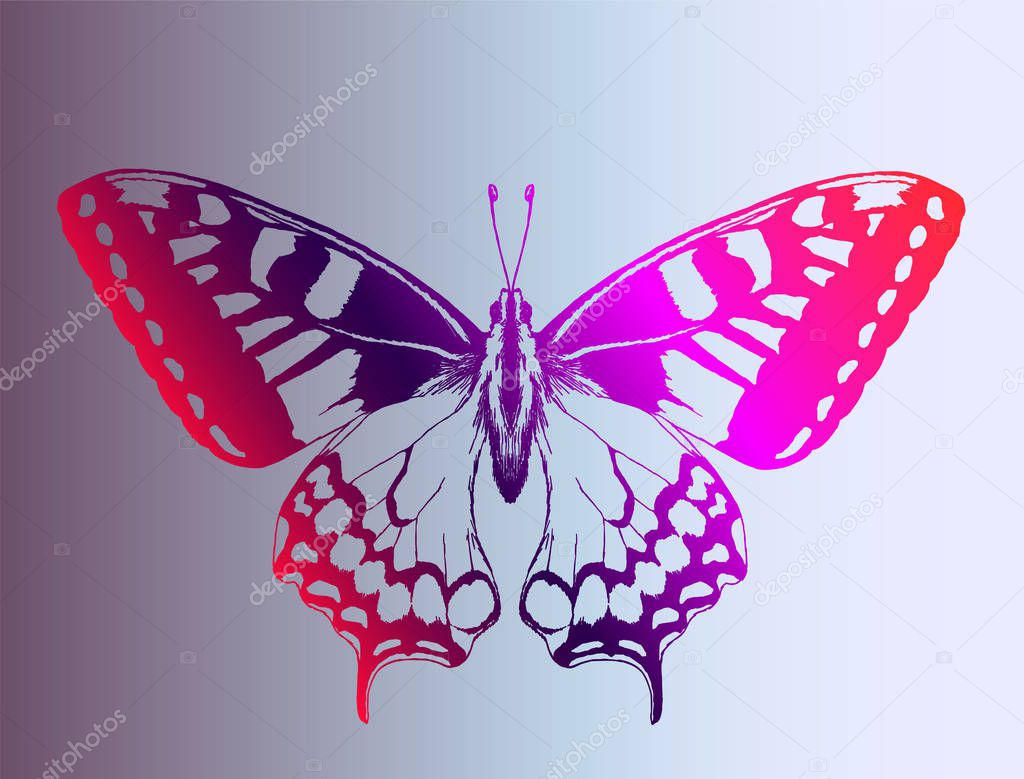 Bright gradient butterfly. Idea for a tattoo