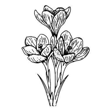 Buket çiçek, yakın çekim