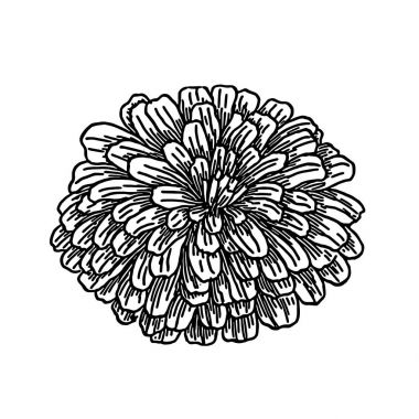Kabarık çiçek - vektör küçük resim