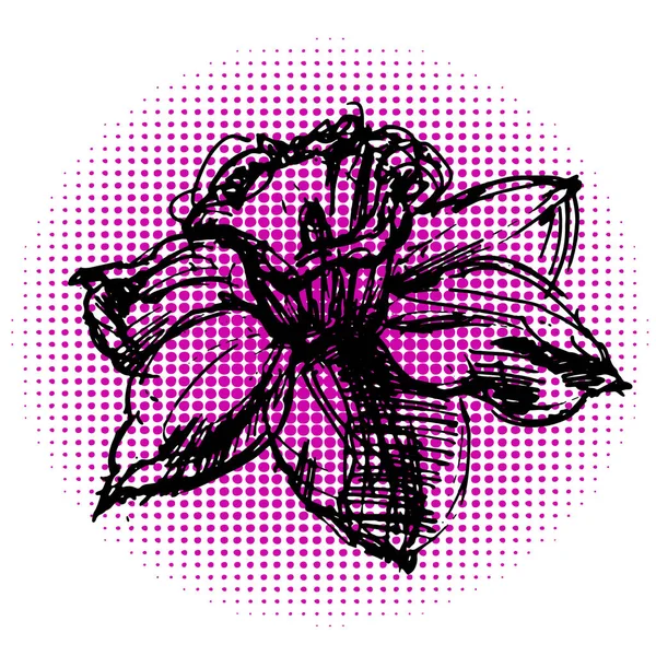 Capullo de narciso de flores — Archivo Imágenes Vectoriales