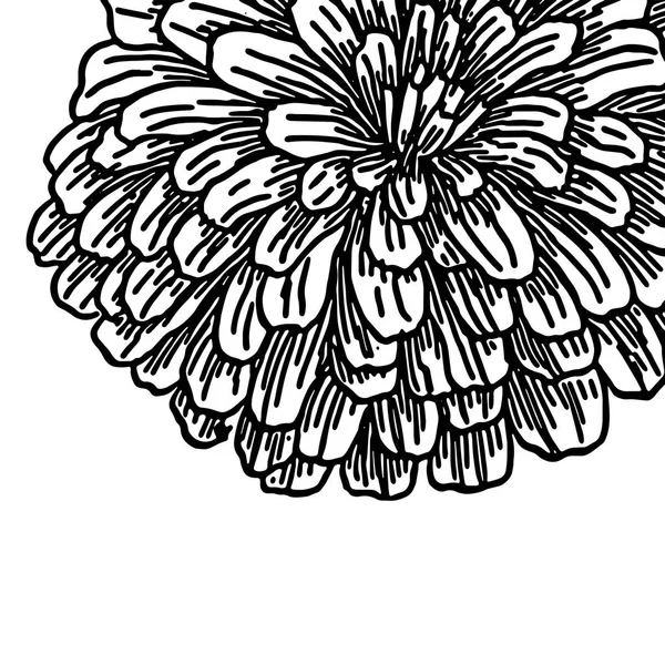 Stora lurviga höst blomma — Stock vektor