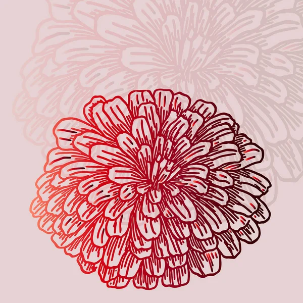 Leuchtend rote flauschige Blume mit Schatten — Stockvektor