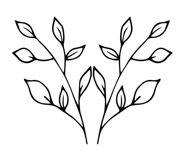 Skizze - dünne Äste mit Blättern — Stockvektor