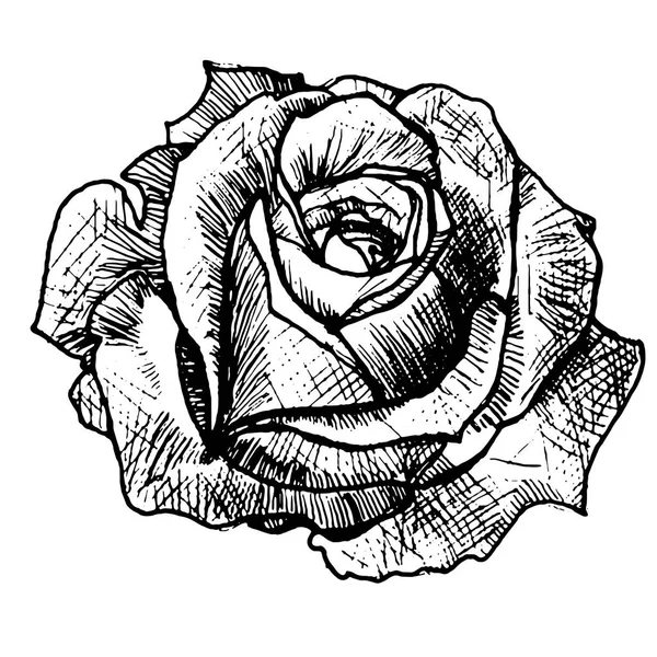Tatouage rose réaliste — Image vectorielle