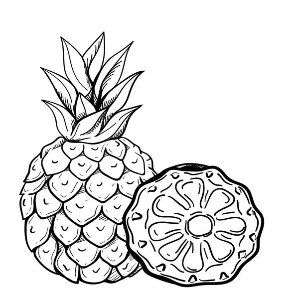 Az egzotikus gyümölcs az ananász és a fél ananász. Finom, érett vitamin — Stock Vector