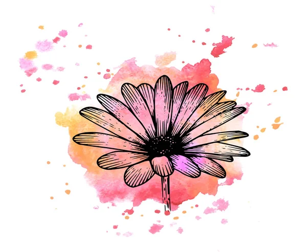 明るい水彩画背景に詳細な花 — ストックベクタ