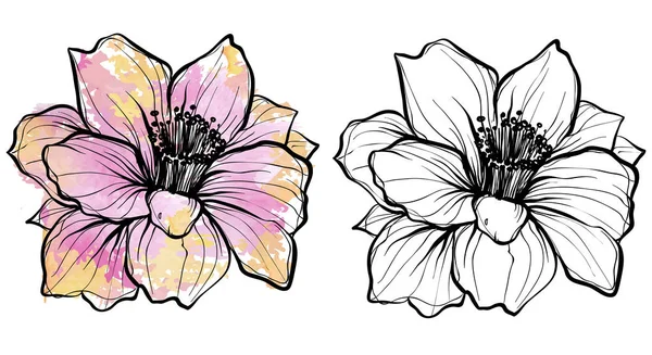 Muguri de flori acuarelă și contur — Vector de stoc