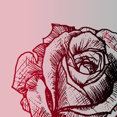 Çiçek gül - yakın çekim, renk poster