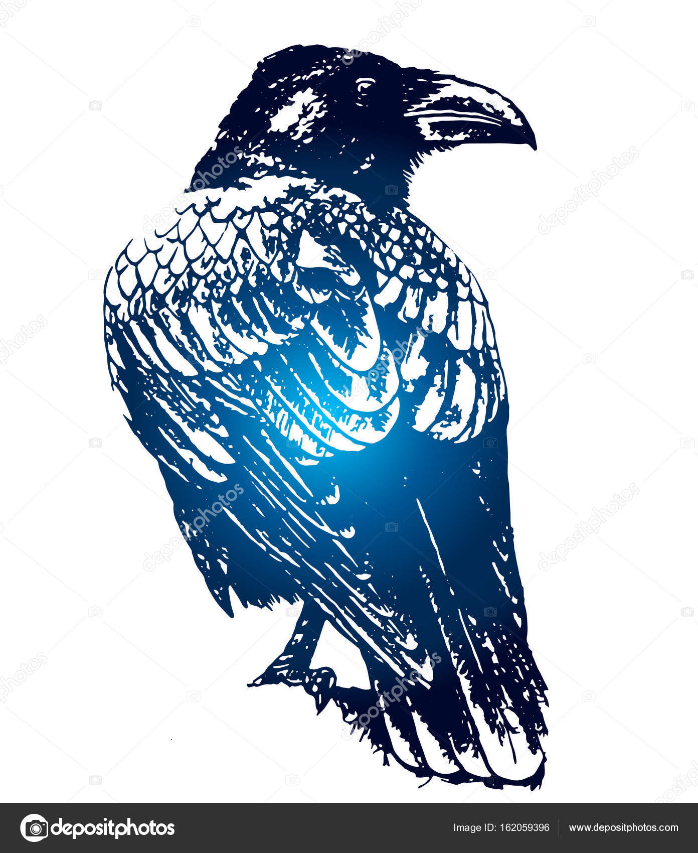 Hand drawn illustration with a Raven or Crow Tattoo stencil style Gothic  drawing with a bird and dry branch of berries Stock Illustration  Adobe  Stock