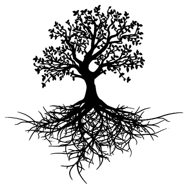 Primer plano - árbol de la vida tatuaje — Vector de stock