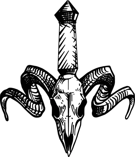 Tatuering djur skalle med horn - dolk, närbild — Stock vektor