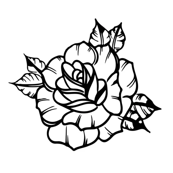 Rose primer plano — Vector de stock