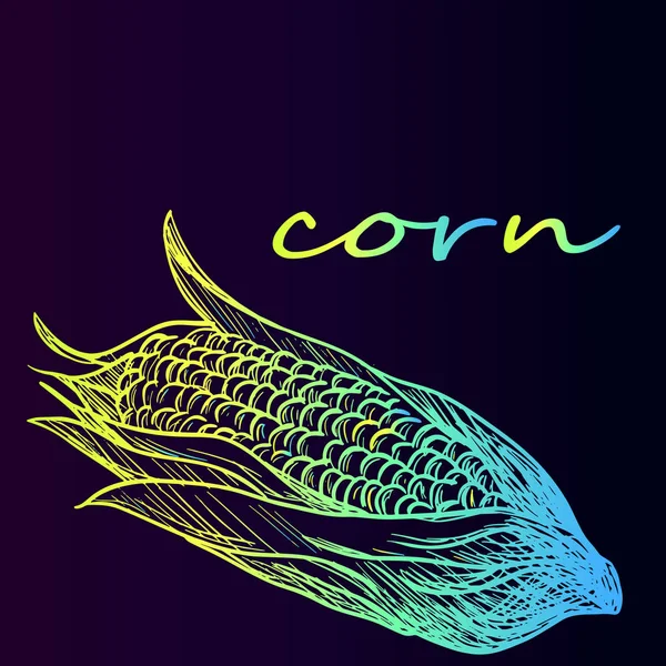 Maïs agri-cultuur is een neon schets. Pop Corn — Stockvector