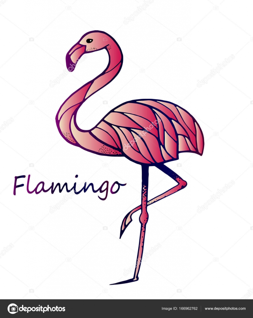 Hand drawn pink flamingo, colorful sketch style... - Stock Illustration  [83138817] - PIXTA