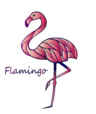 Pembe Flamingo kroki
