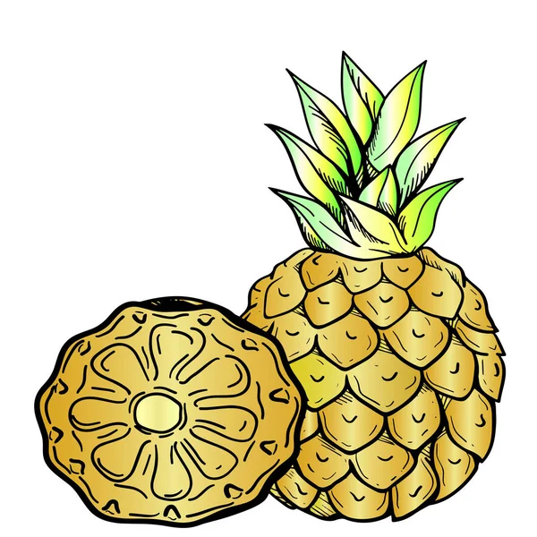 Olgun ananas, neon kroki