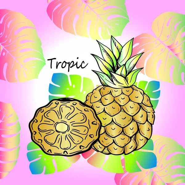 Piña de frutas tropicales dulces y hojas exóticas — Vector de stock