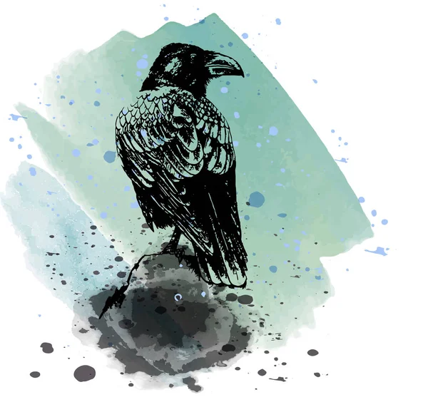 Raven - bosquejo detallado de acuarela — Vector de stock