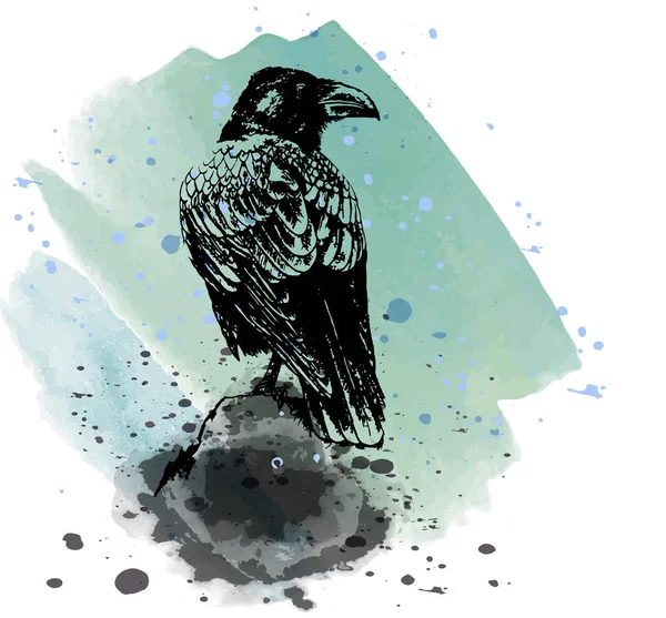 Corbeau - croquis détaillé de l'aquarelle — Image vectorielle