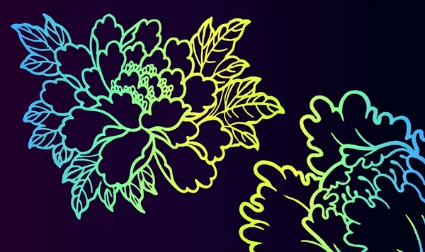 Neon Blume der Pfingstrose - Sammlung von Blumen — Stockvektor
