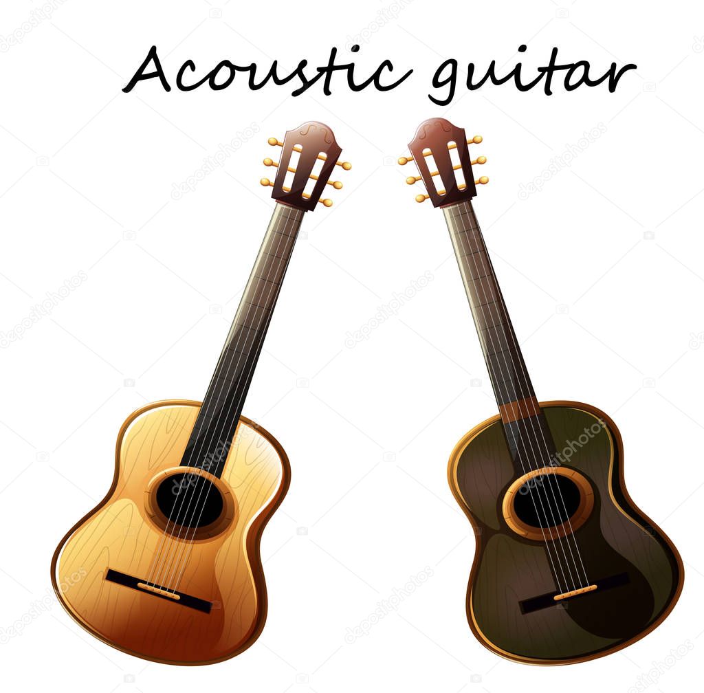 Two models of guitars - a detailed layout of acoustic guitars