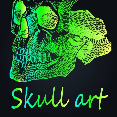 Yeşil neon kafatası yakın çekim. Bir dövme - yeni bir okul stil detaylı bir kroki