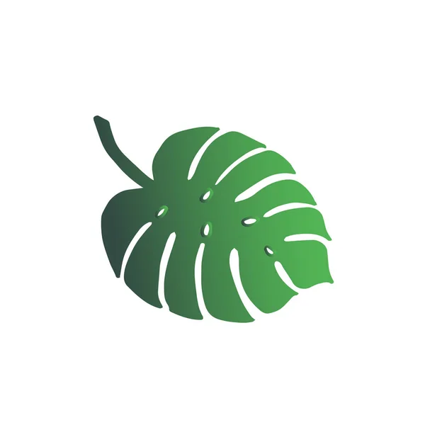 Elegante Foglia Monstera Tropicale Disegno Gradiente Verde Primo Piano Isolato — Vettoriale Stock