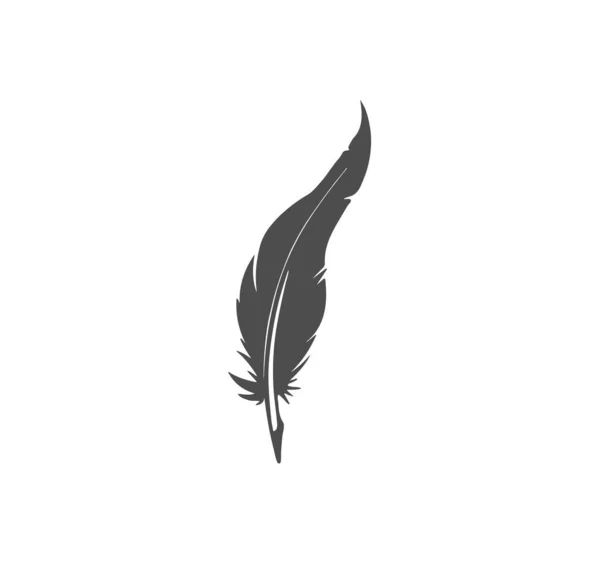 Gris Vector Pluma Escritor Icono Primeros Planos Plumas Vintage Con — Vector de stock