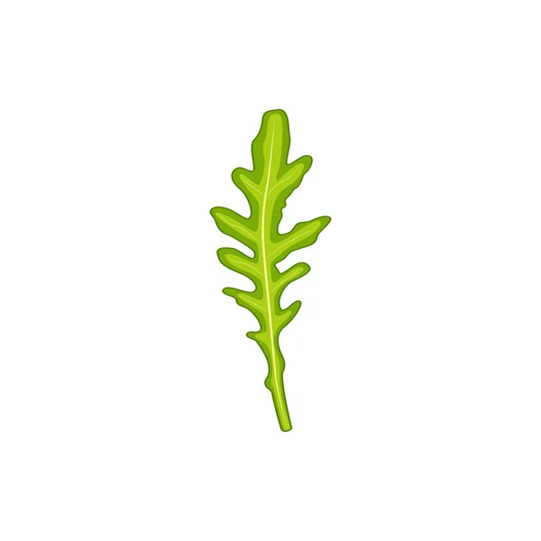 Rucola Roquette Juteuse Fraîche Salade Roquette Savoureuse Sur Fond Blanc — Image vectorielle