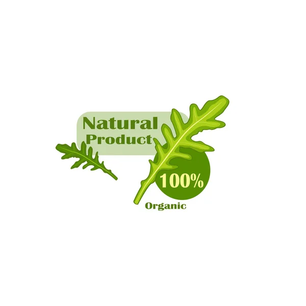 Bela Cor Logotipo Vetorial Plana Produto Natural Com Arugula Isolado — Vetor de Stock