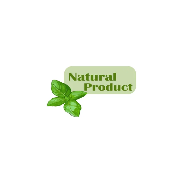 Bonito Cor Logotipo Vetorial Plana Produto Natural Com Folhas Hortelã — Vetor de Stock