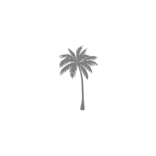 Exotic Palm Tree Gray Vector Icon Isolated — Stock Vector