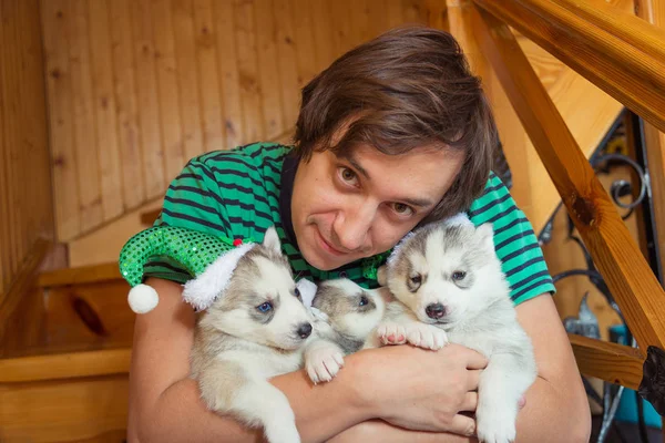 Il ragazzo che tiene i cuccioli alleva Siberian Husky . — Foto Stock