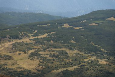 Yolculuk. Mount Goverla 2061 metre tırmanma