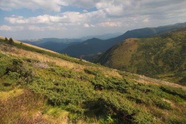 Yolculuk. Mount Goverla 2061 metre tırmanma