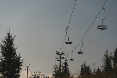 Dağ orman. Dağ orman.